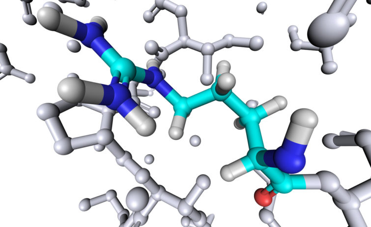 Amino Acid / Peptide Metabolite Library of Standards - IROA TECHNOLOGIES