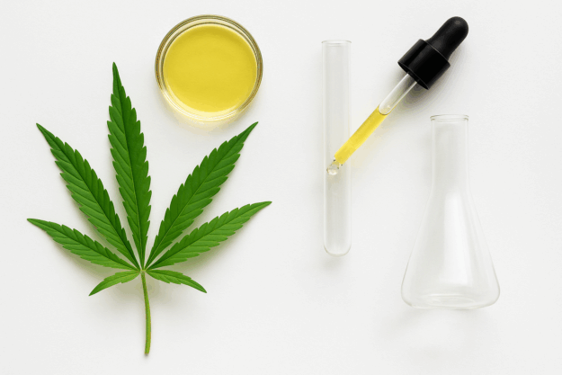 Cannabis leaf with lab glassware for cannabis analysis.