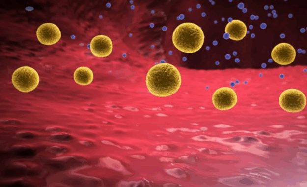 Screenshot 2025-08-08 153637