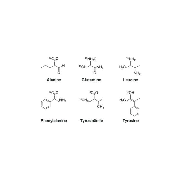 Chemical structures of isotope-labeled amino acids including Alanine, Glutamine, Leucine, Phenylalanine, Tyrosinamide, and Tyrosine used as internal standards in mass spectrometry.