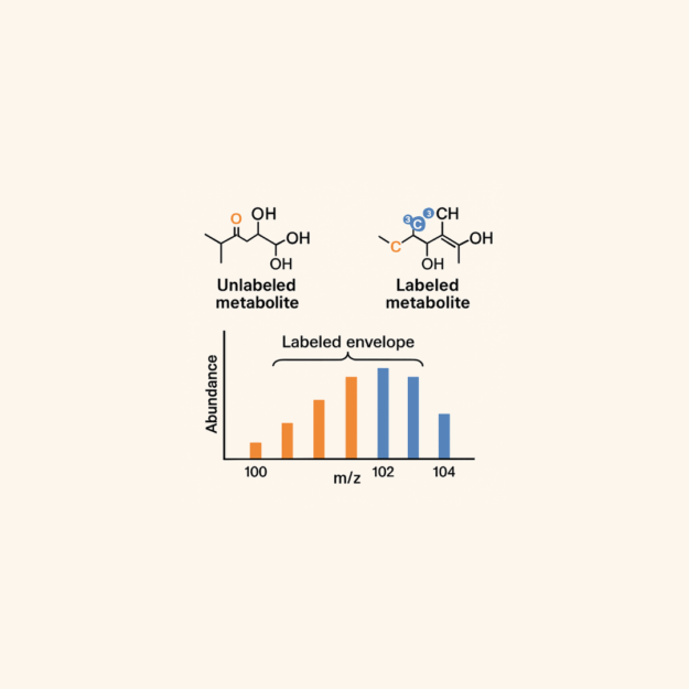 Labeled envelope visualization in mass spectrometry Comparison of unlabeled and isotopically labeled metabolites with a labeled envelope mass spectrum chart