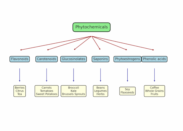 Phytochemicals Chart with Categories and Food Sources Phytochemicals chart showing categories such as flavonoids, carotenoids, glucosinolates, saponins, phytoestrogens, and phenolic acids with food examples like berries, carrots, broccoli, soy, and coffee.
