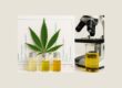 Cannabis Research Laboratory with Cannabinoids Standards