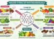 Scientific Overview of the Different Types of Phytochemicals