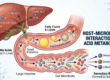 Structural and Functional Insights into Bile Acid Compounds