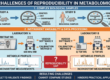 Understanding Reproducible Science in Metabolomics