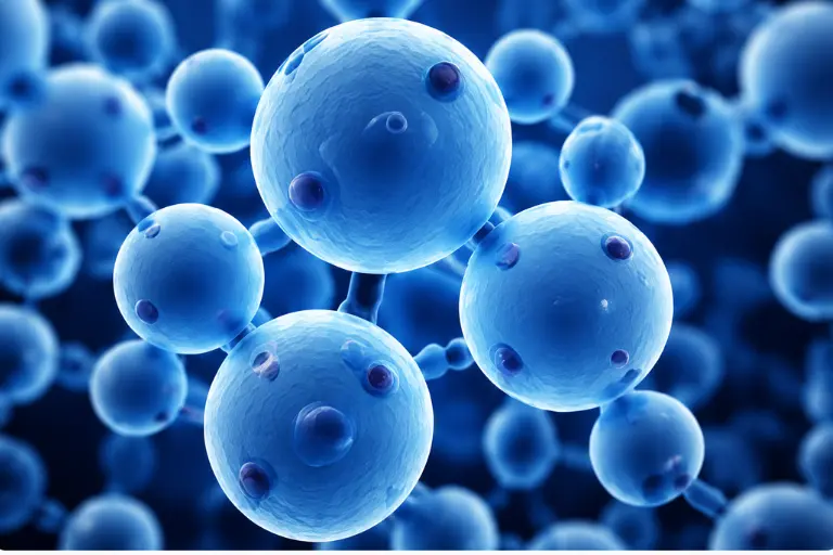 TruQuant Yeast Extract Semi-targeted QC Workflow Kit